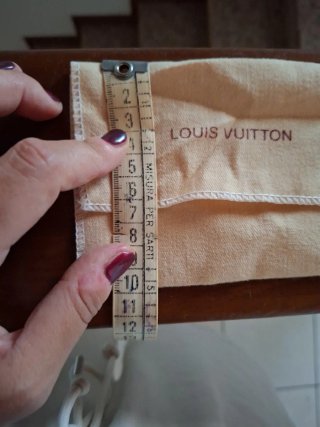 Louis Vuitton dust bag beige