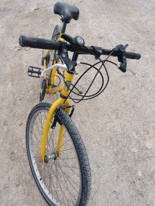 Bicicleta Globe Trotter Amarilla