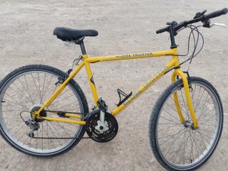 Bicicleta Globe Trotter Amarilla