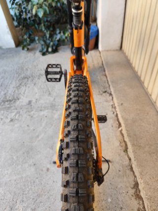 Giant Reign 1.5 2019 Talla L