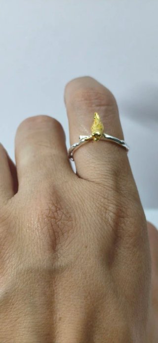 Anillo Plata Pajarito Dorado