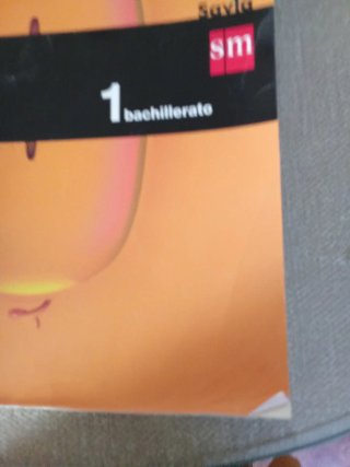 Economía : 2o Bachillerato Savia