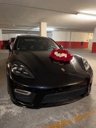 Porsche Panamera 2011