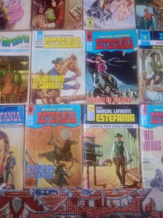 15 novelas del oeste clasicas