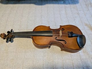 Viola Stentor 12" con accesorios