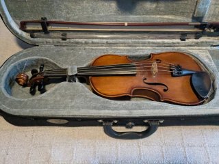 Viola Stentor 12" con accesorios