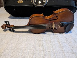 Viola Stentor 12" con accesorios