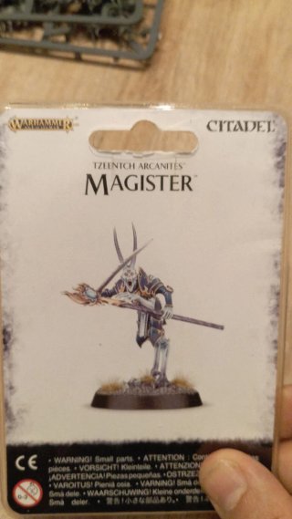 Magister Tzeentch Arcanites Warhammer AOS TOW