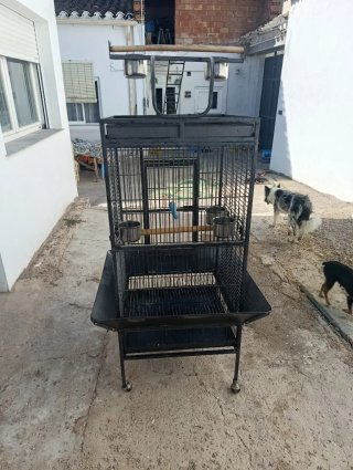 Jaula para loro grande