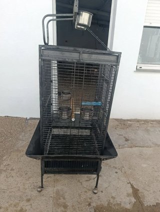 Jaula para loro grande