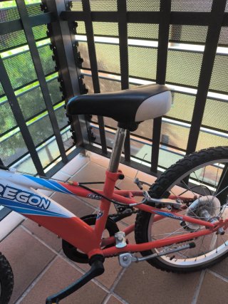 Bicicleta infantil Oregon