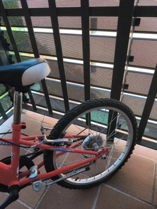 Bicicleta infantil Oregon