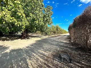 Terreno en venta en Pinos Puente