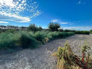 Terreno en venta en Pinos Puente