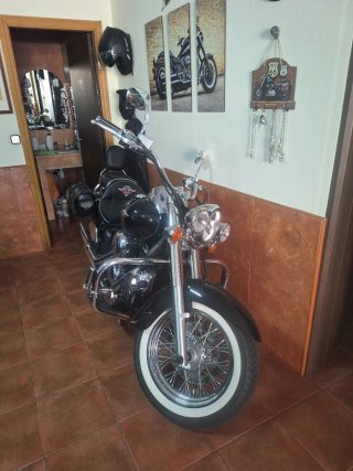 Escapes Kawasaki Vulcan VN 900 Originales 2008