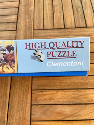 Puzzle 1000 Piezas Panorama Caballos