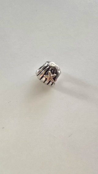 Charms y pulsera de Pandora