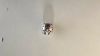 Charms y pulsera de Pandora