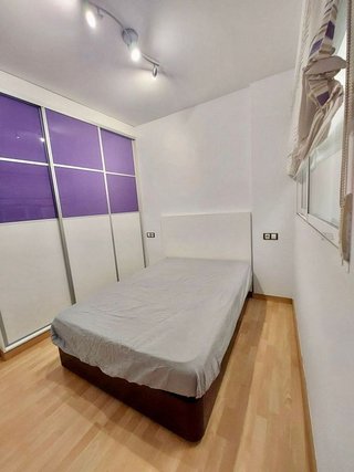 Piso en alquiler en El Botànic en Valencia