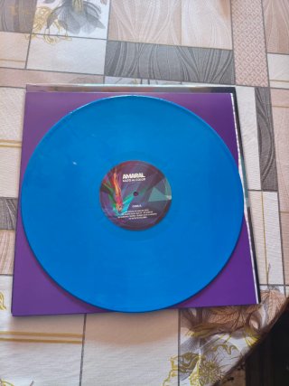 DISCO VINILO AMARAL SALTO AL COLOR