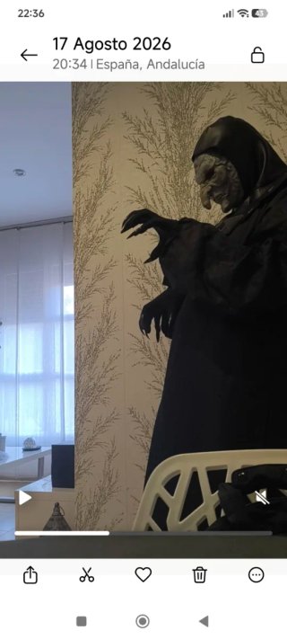 Disfraz Gnomo Medieval Negro/Verde Talla Única