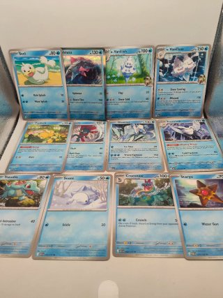 Lote 12 Cartas Pokémon Agua/Hielo Veluza+ 1 Holo
