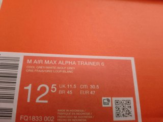Nike Air Max Alpha Gris/Blanco