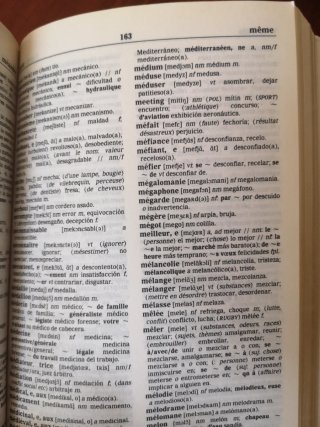 DICCIONARIOS FRANCES ESPAÑOL TRADUCTOR Y GRAMATICA