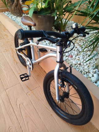 Bicicleta Early Rider 16 pulgadas