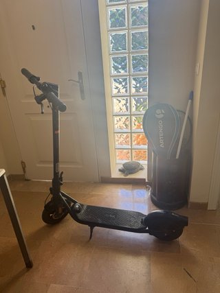 Patinete Eléctrico Segway Ninebot F2 Homologado