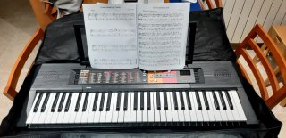 Organo Yamaha PSR F51
