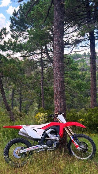 Honda CRF 250R 2019 Motocross Roja/Blanca