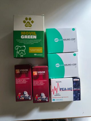 Movil Green Dr. Vetilea neuro CDP, vigor pharma yq