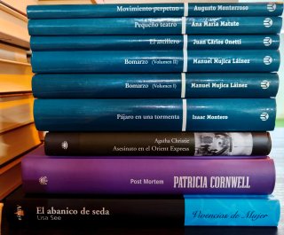 Lote de libros