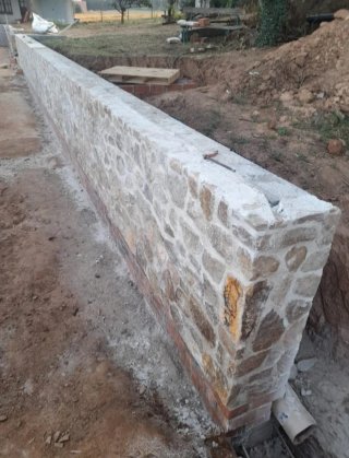 Paleta Oficial Primera