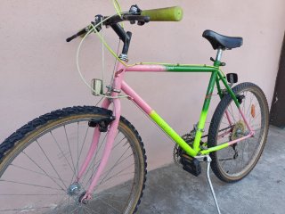 Bici Mountain bike
