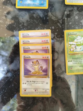 Cartas Pokémon Coleccionista: Squirtle, Wartortle,