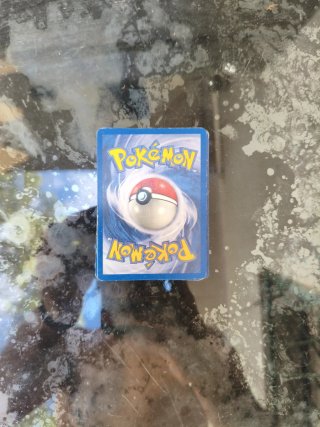 Cartas Pokémon Coleccionista: Squirtle, Wartortle,