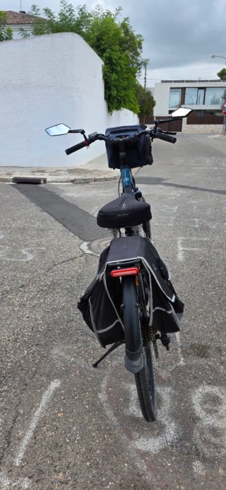 Bicicleta Eléctrica Fiido C11
