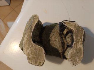 Galleggiante per acquario roccioso