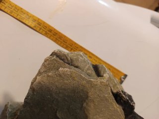 Galleggiante per acquario roccioso