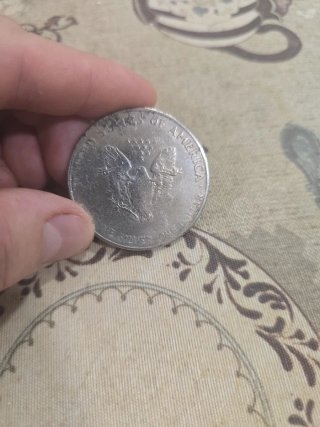 Dólar de Plata 1906