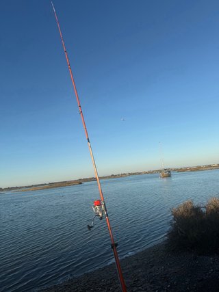 Lote cañas surfcasting
