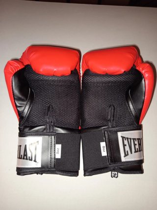 Guantes Boxeo Everlast Pro Style 2 (8 oz)