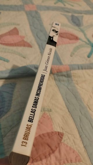 Libro "13 brujas: bellas damas incomprendidas"