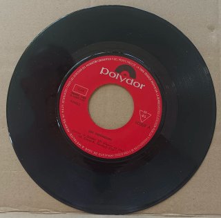 VINILO LOS INDONESIOS