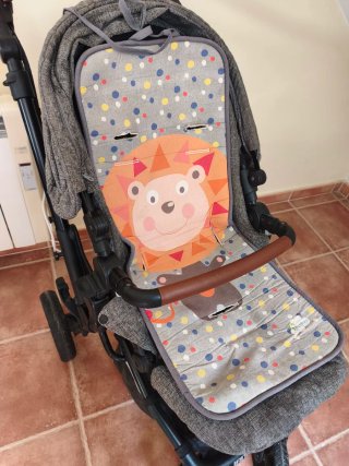 Carro Jane Epic con silla y capazo