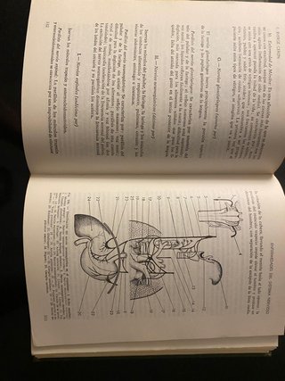 Medicina para todos. 1975.
