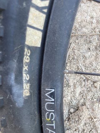 Ruedas Bontrager Mustang Pro