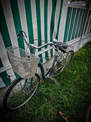 Bicicleta con cesta delantera